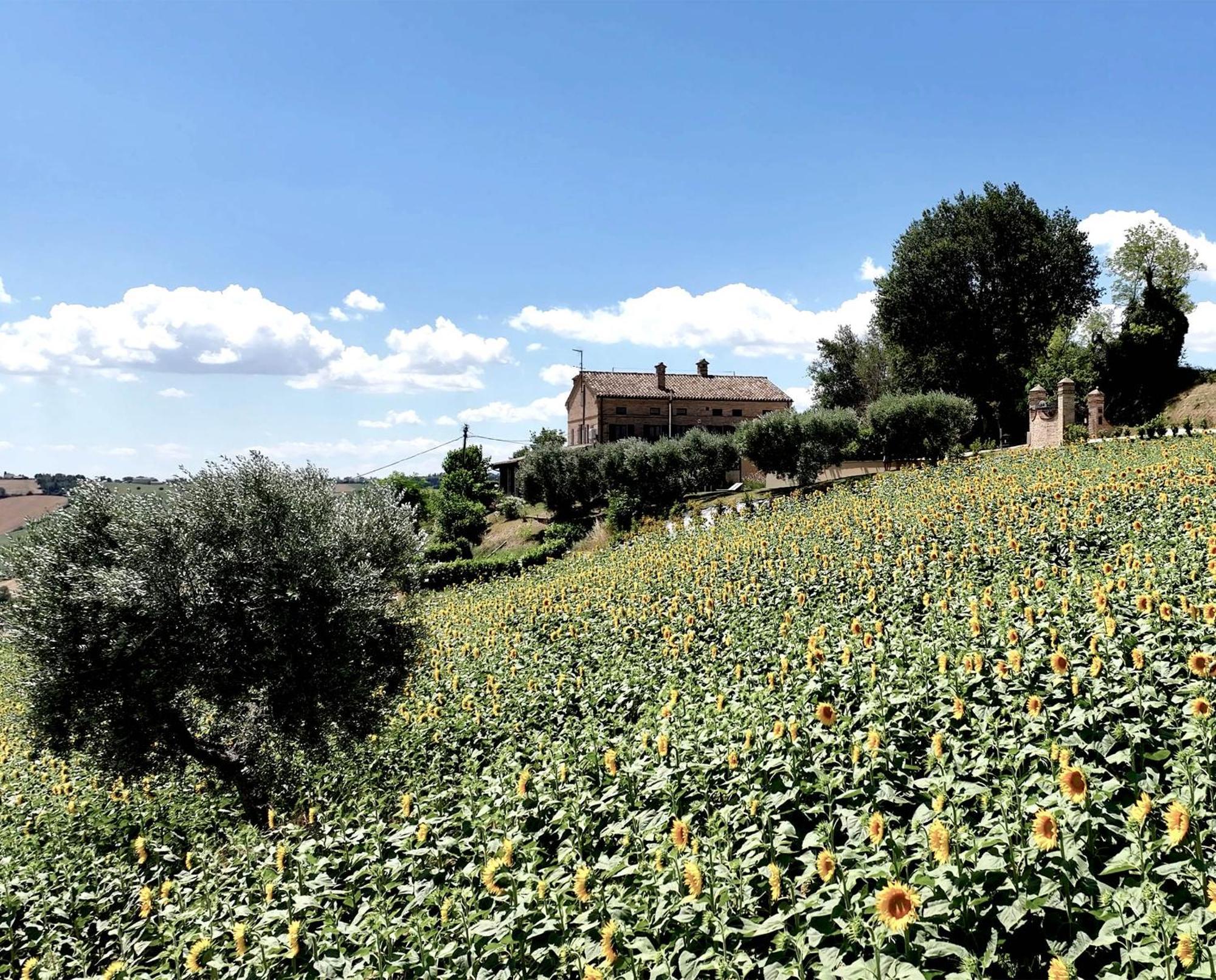Bed And Breakfast La Vecchia Scuola Montefano Exterior photo